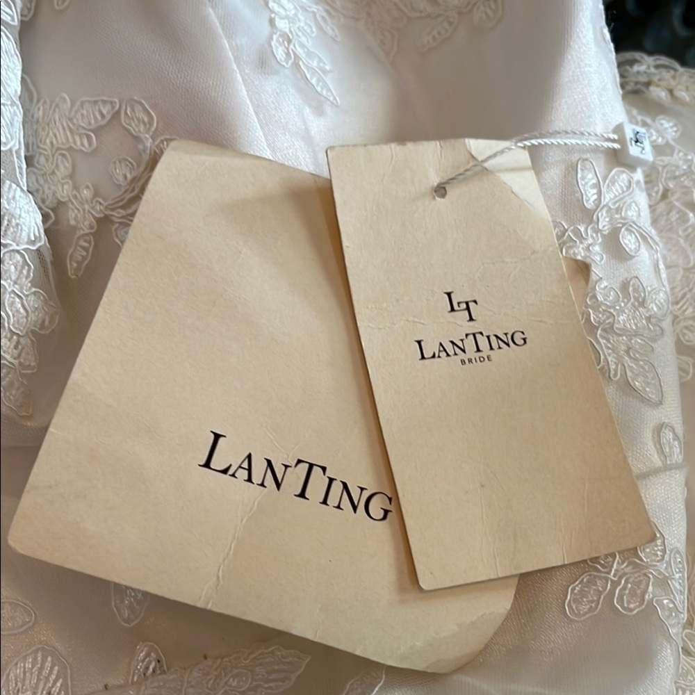 Elegant White Lace Wedding Dress - Picture 4 of 7